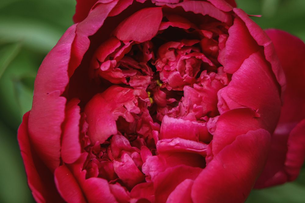 Photograph by Ivan Osipov