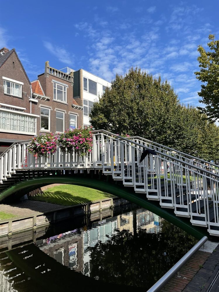 Фотография автора Nadezhda