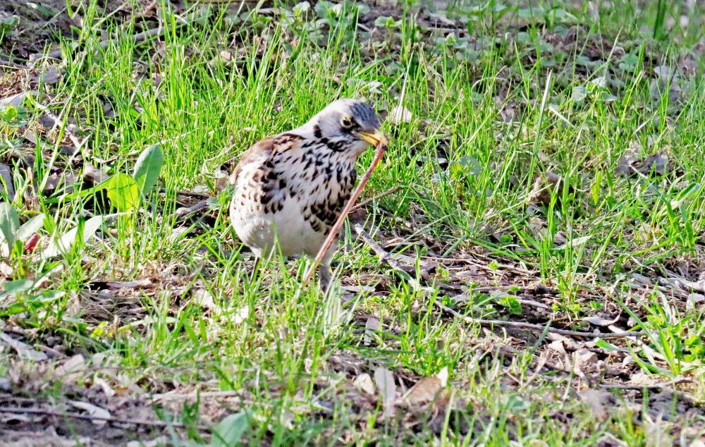 Photograph by Елена Казарина