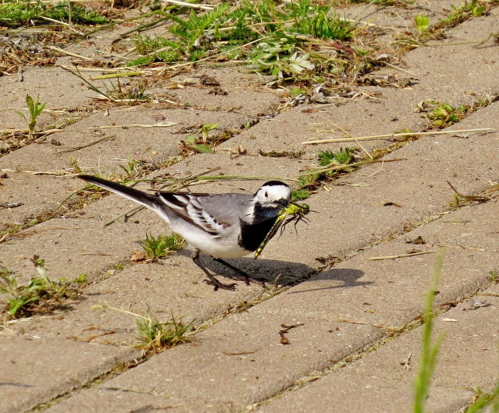 Photograph by Елена Казарина