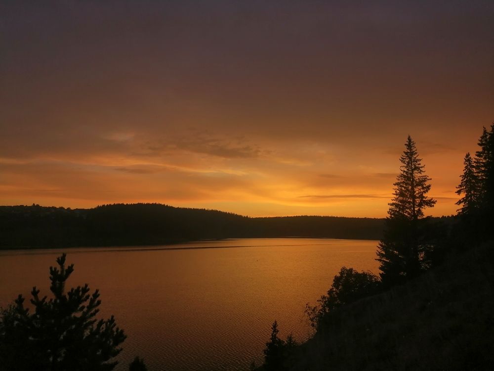 Photograph by Светлана Кудянова