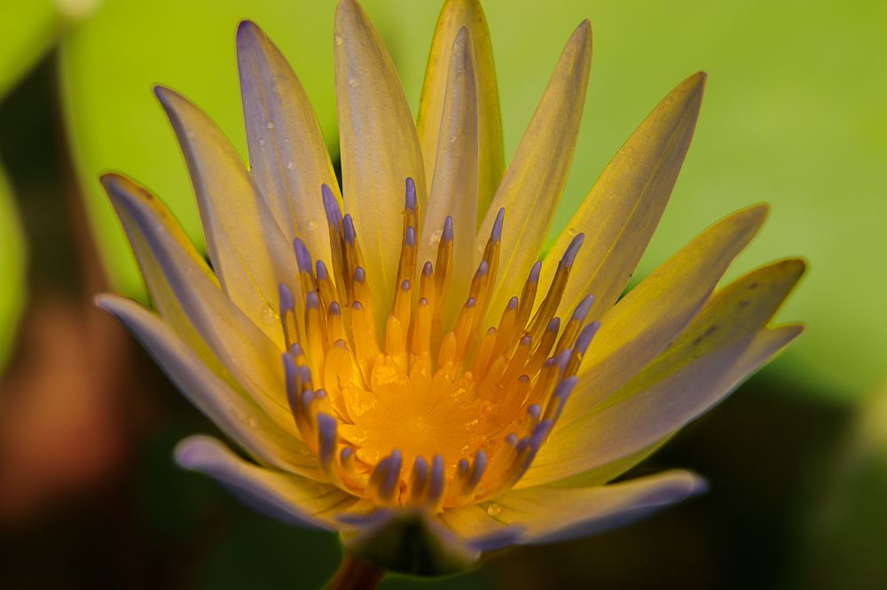 Photograph by Jaime Molina