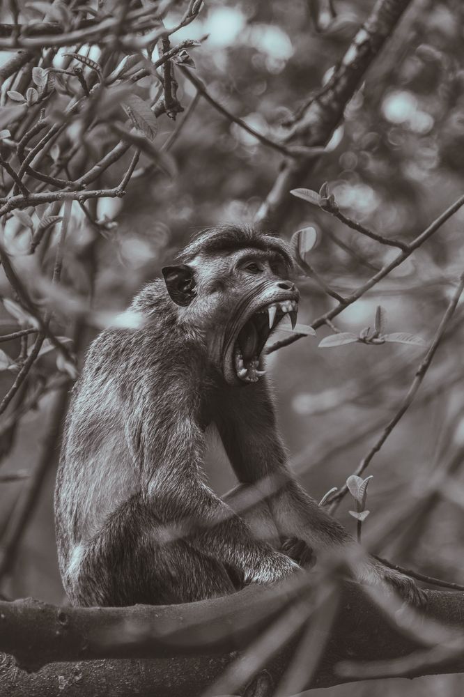 Photograph by Jaime Molina