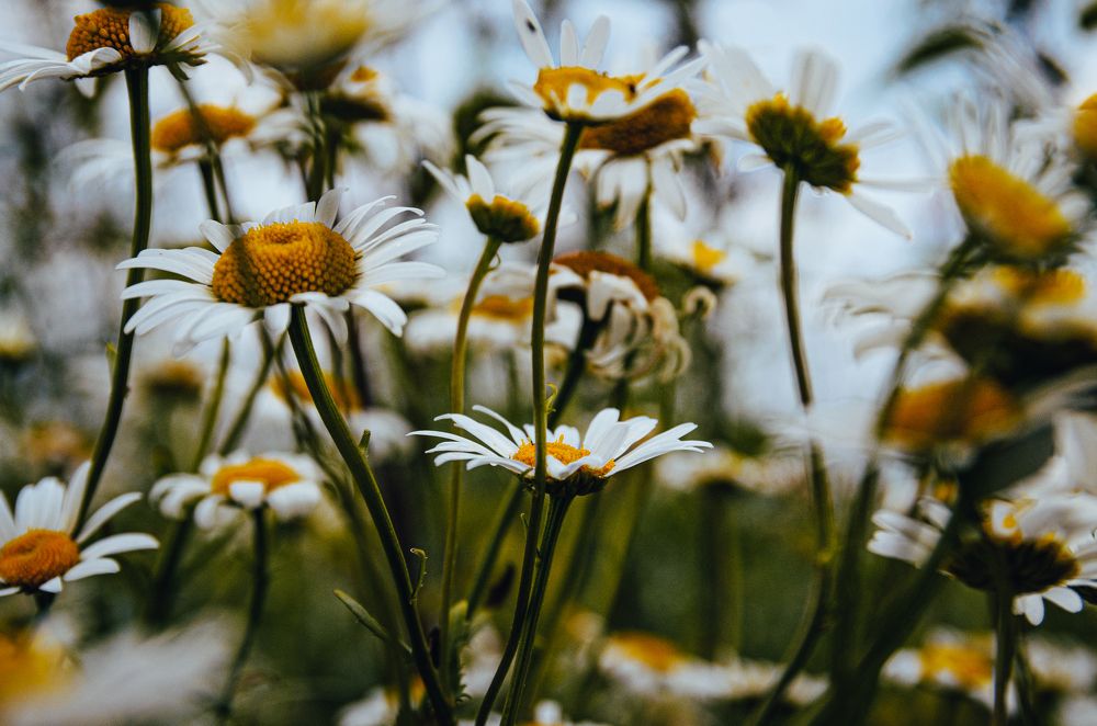 Photograph by Сергей Белокуров