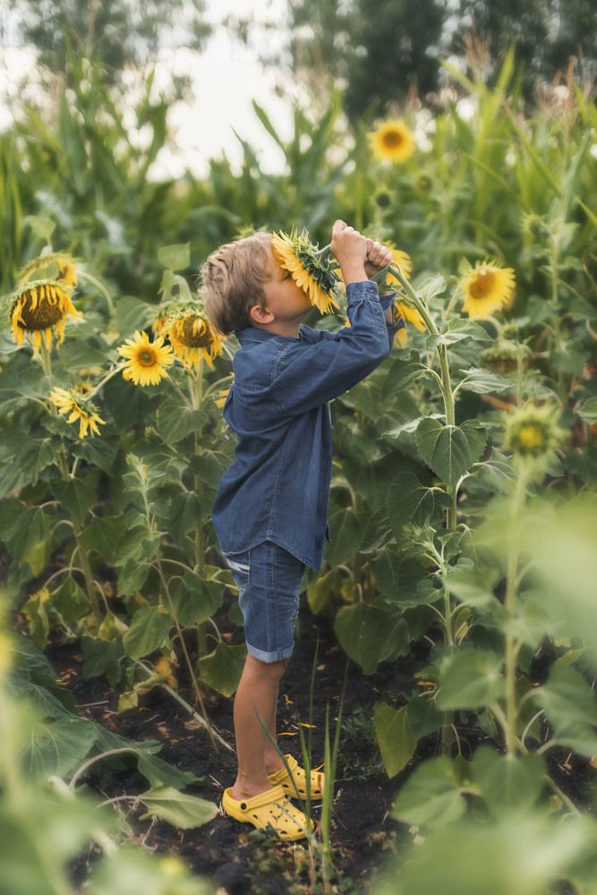 Photograph by Елена Чекменева