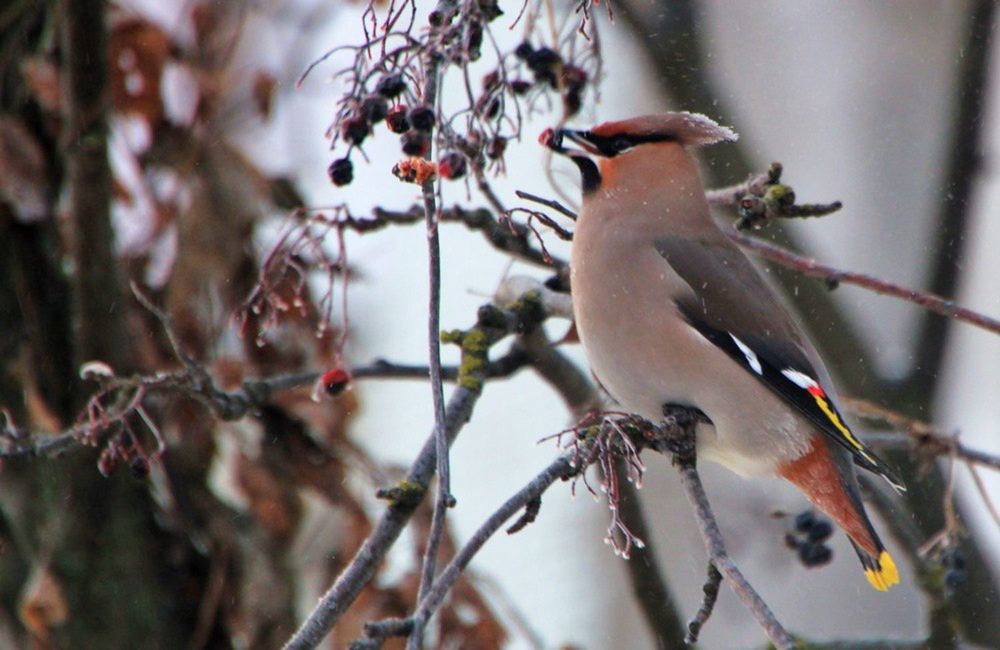 Photograph by Павел Васильев