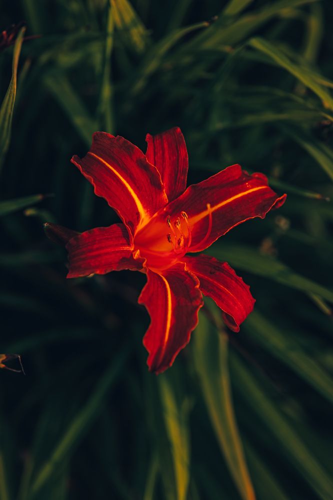 Photograph by Сергей Белокуров