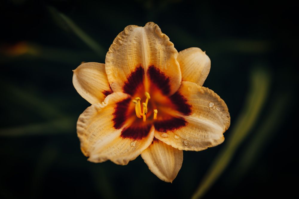 Photograph by Сергей Белокуров