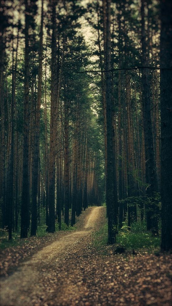 Photograph by Ekaterina Kulakova
