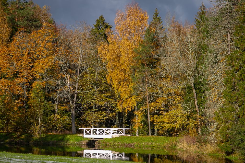 Photograph by Наталья Катюжанская