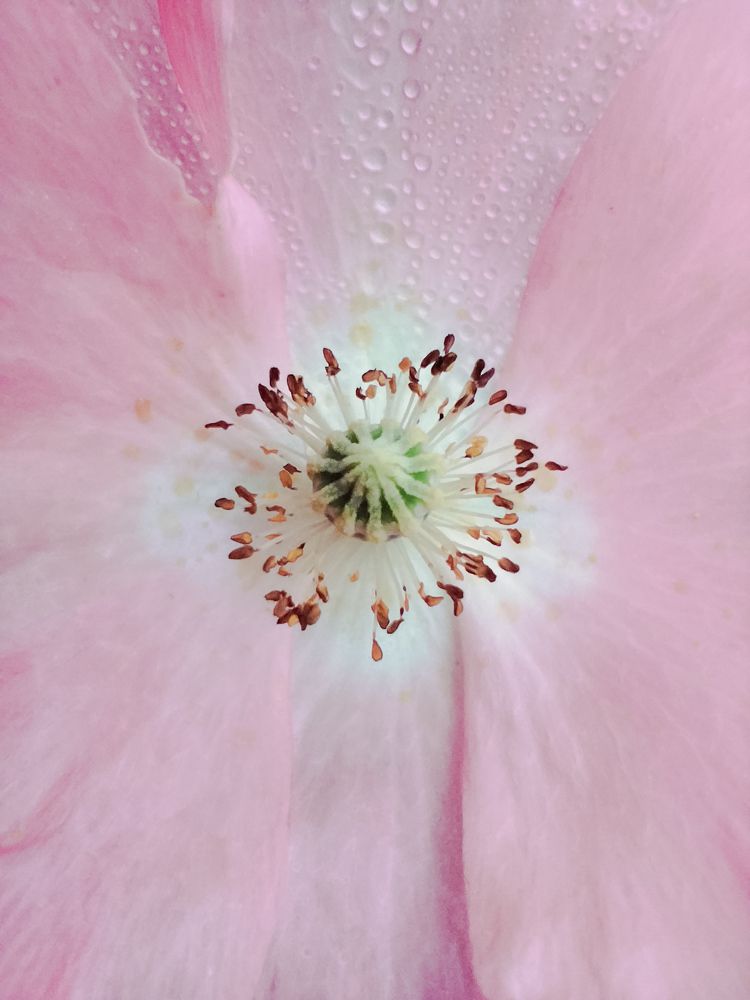 Photograph by Оксана Артимович