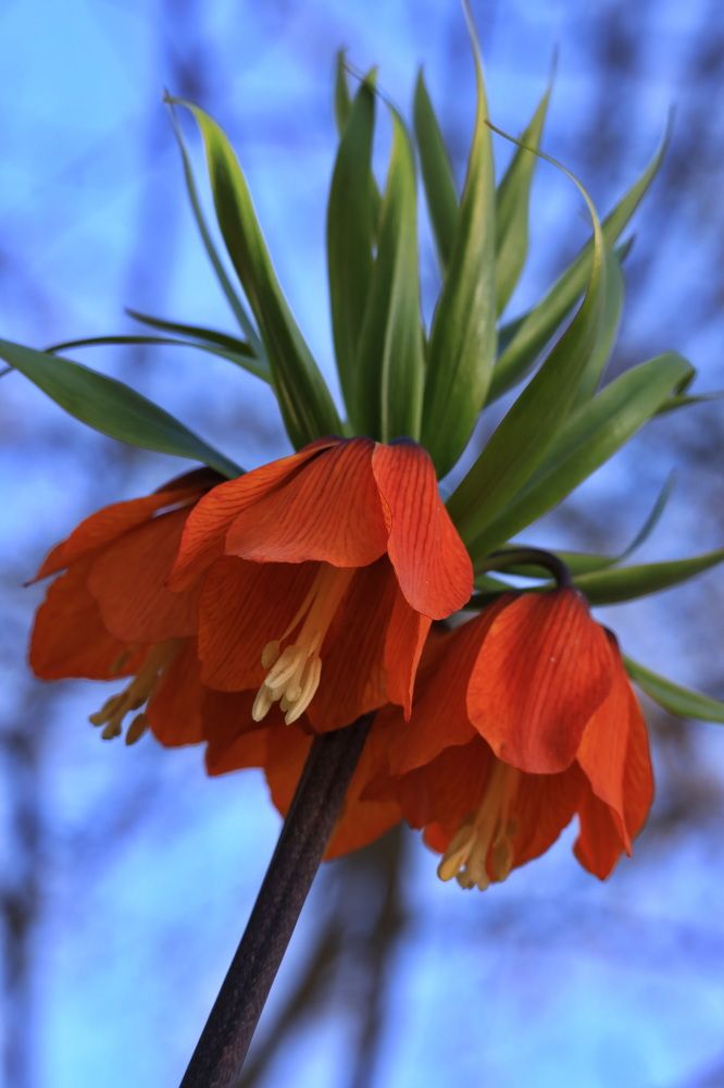 Фотография автора Колосова Елена