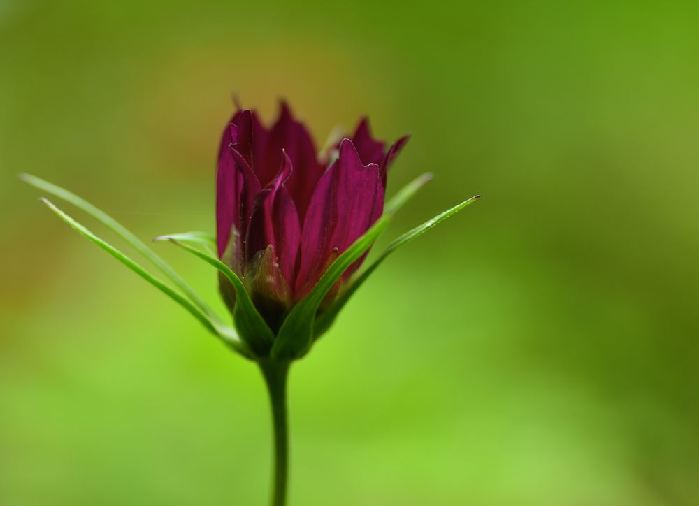 Photograph by Владислав Кравцов