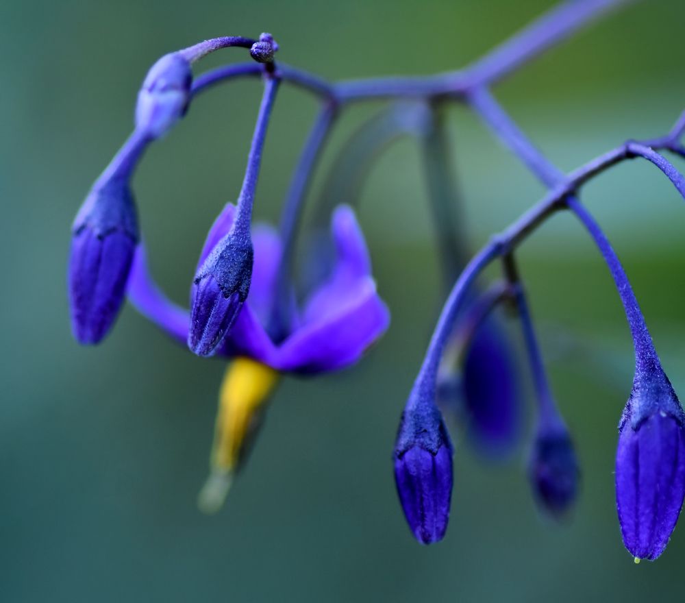 Photograph by Владислав Кравцов