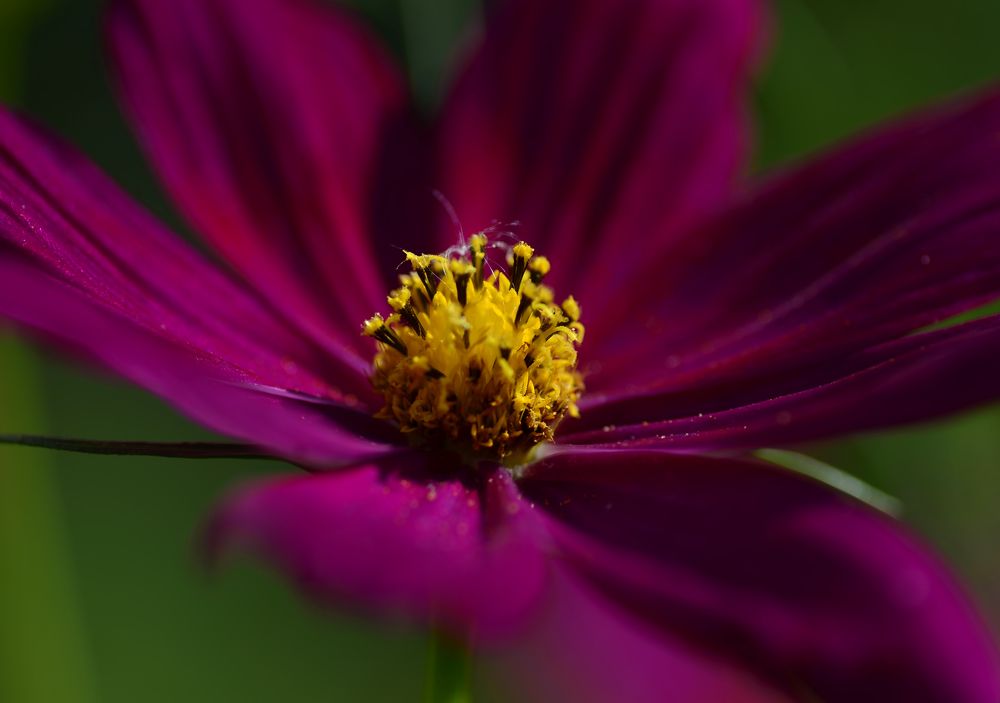 Photograph by Владислав Кравцов