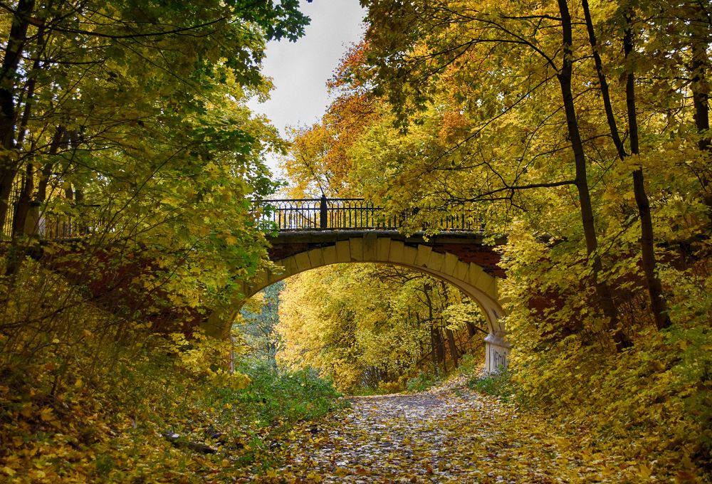 Photograph by Владислав Кравцов