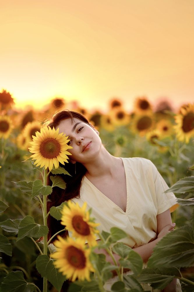 В подсолнухах