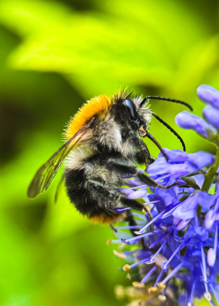 Photograph by Oxana Petlina