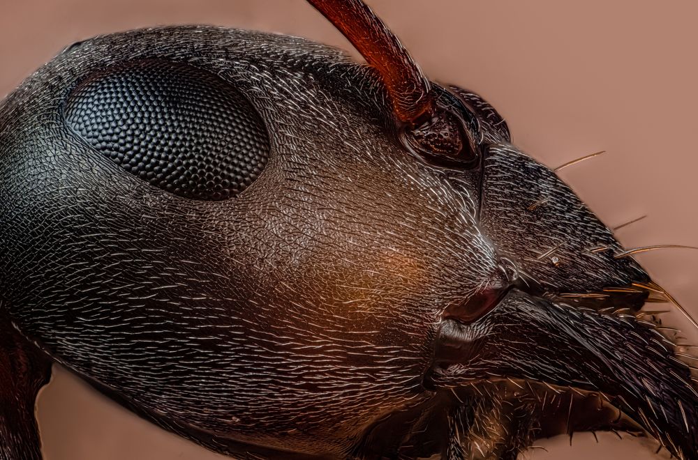 Photograph by Сергей Чупахин