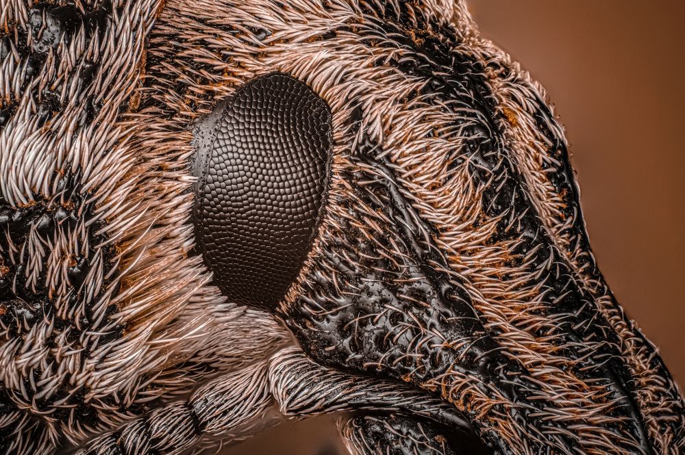 Photograph by Сергей Чупахин