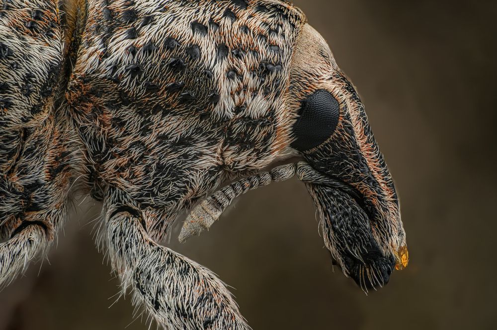 Photograph by Сергей Чупахин