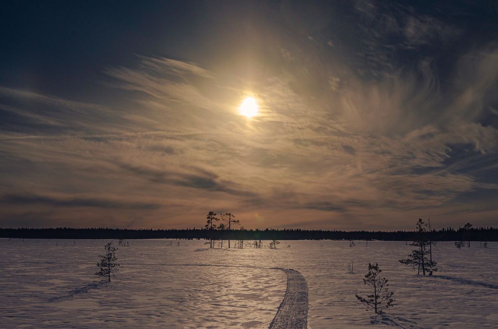 Photograph by Денис Рокин