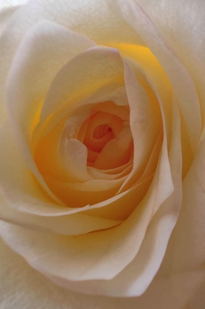 Photograph by Римма Бобрякова