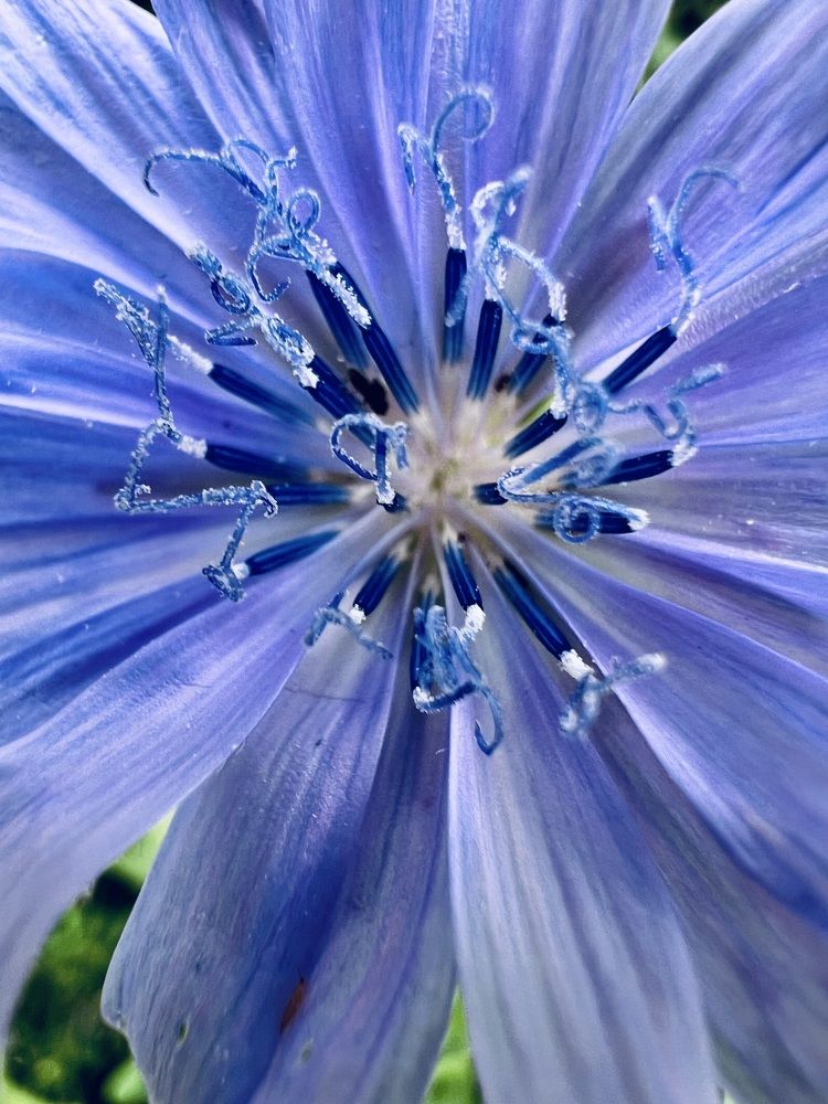 Photograph by Ирина Швейнова