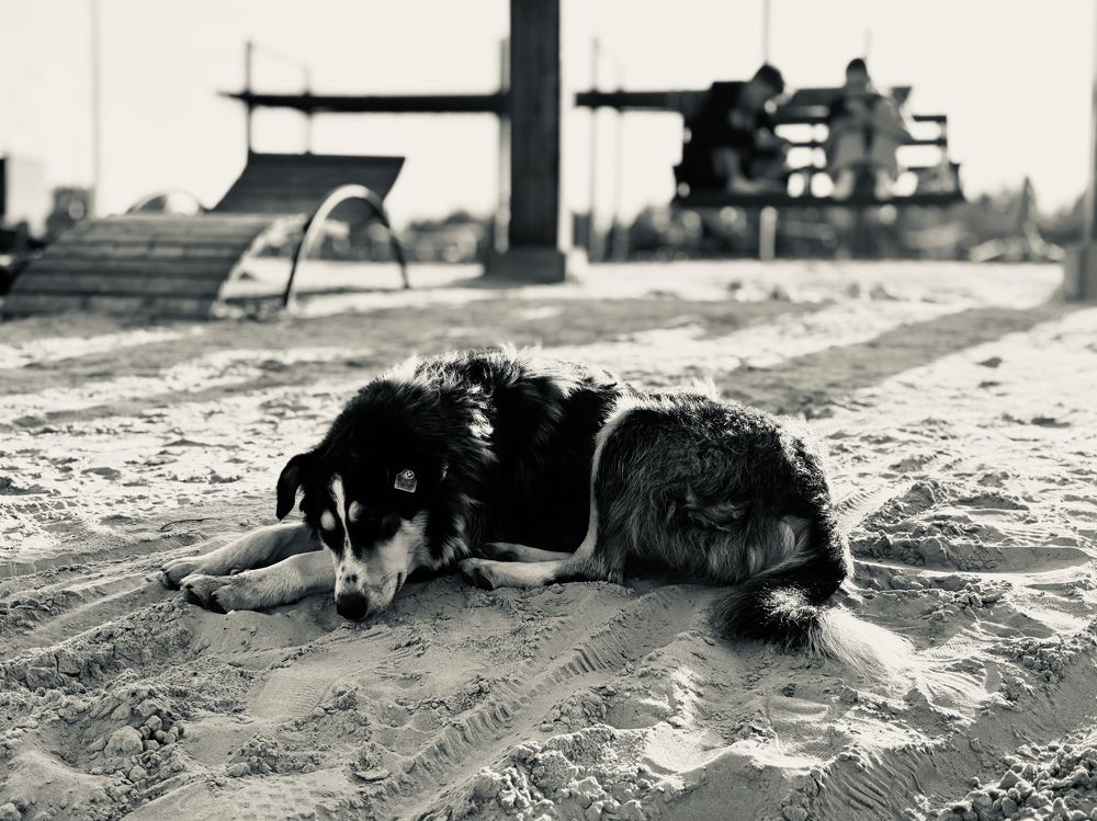 Photograph by Лариса Кузнецова