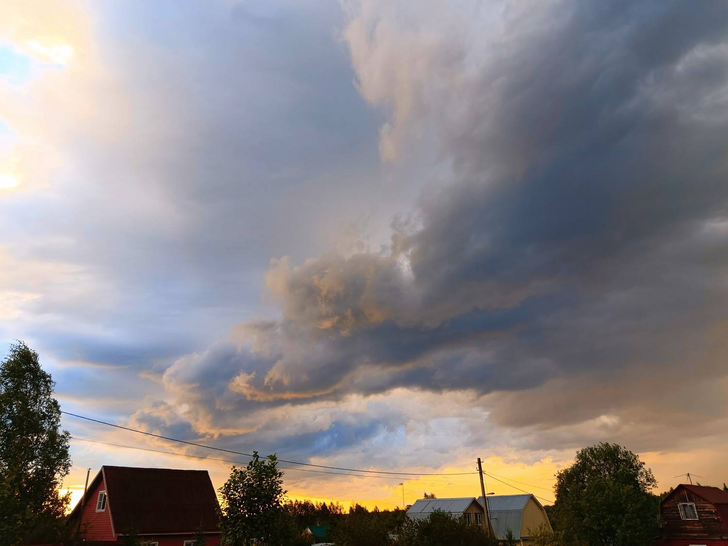 Photo #10916867