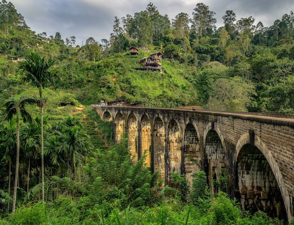 Фотография автора Васильев Андрей
