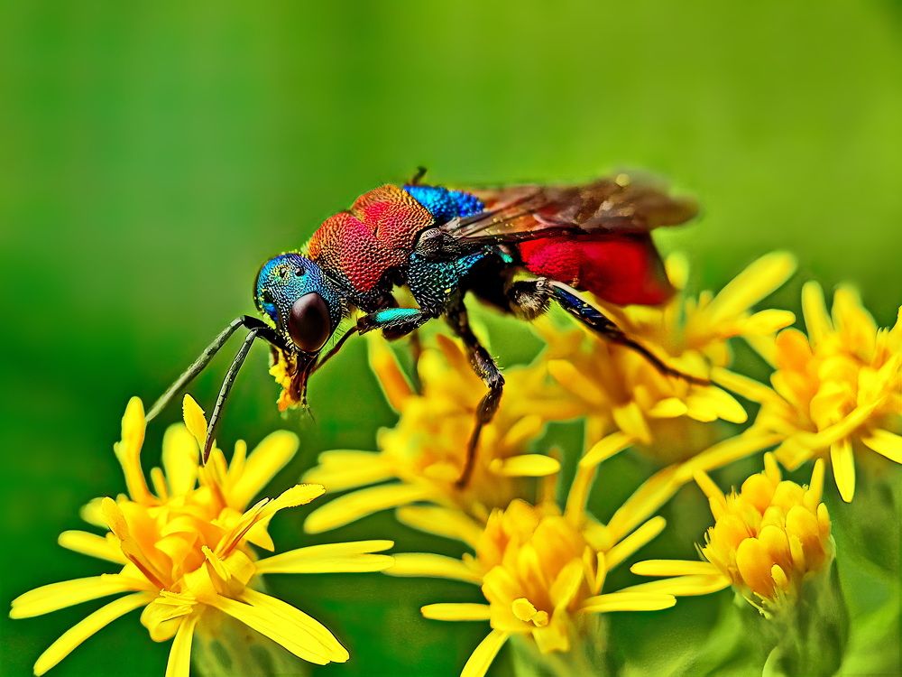 Photograph by Кузнецов Дмитрий