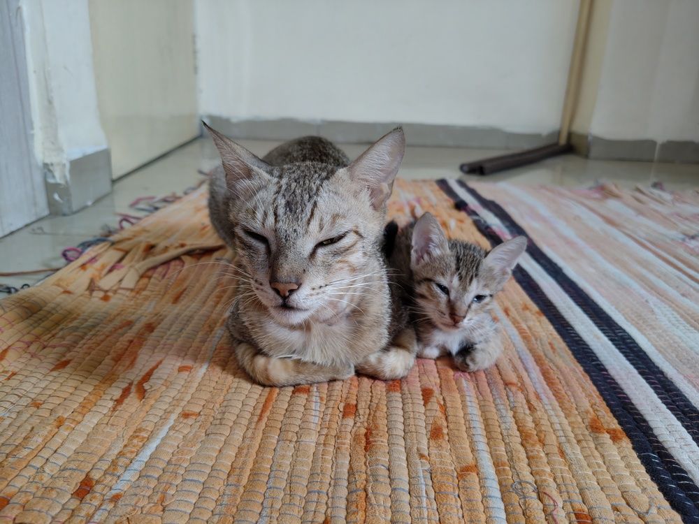 Like mother like daughter.