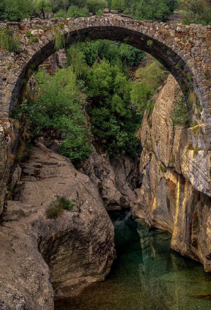 Фотография автора Васильев Андрей