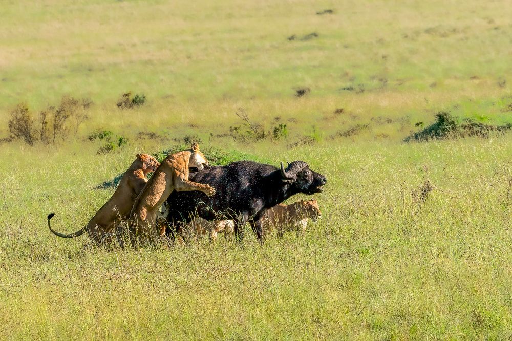 Between life and death