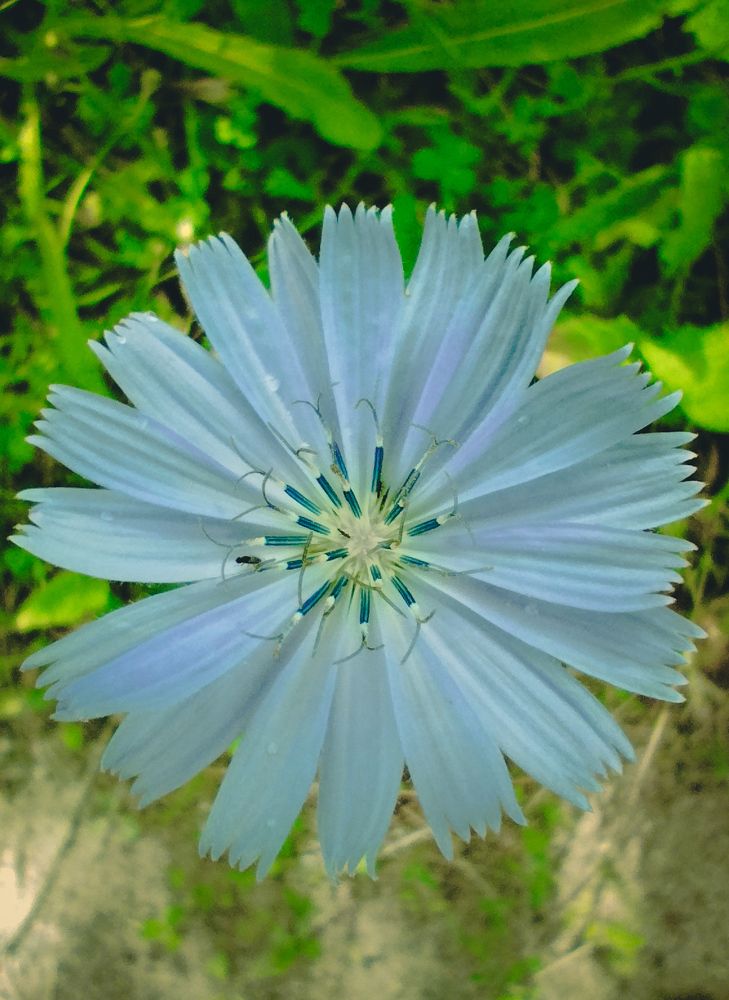 Photograph by Оксана Артимович