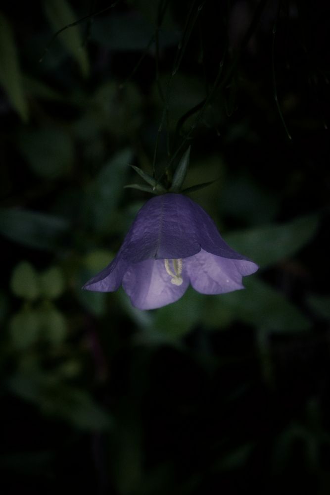 Ночной фонарь.