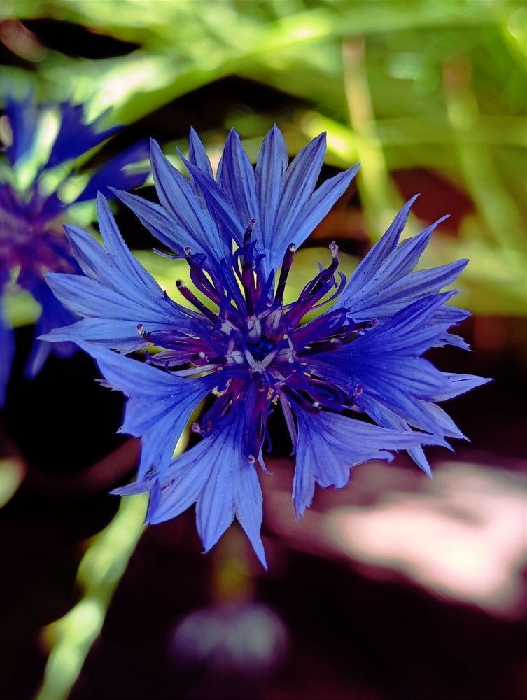 Photograph by Светлана Таркан