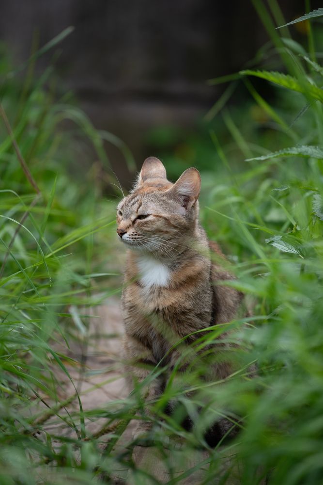 Photograph by Kseniya Shilina