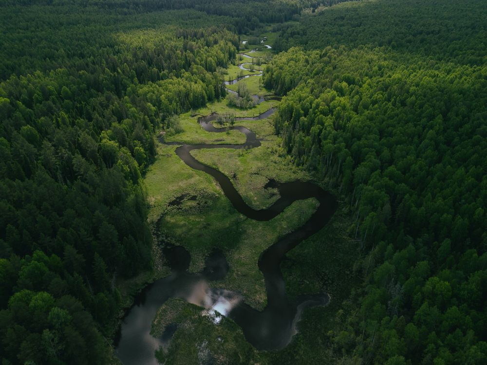 Photograph by Alexander Tikhonov