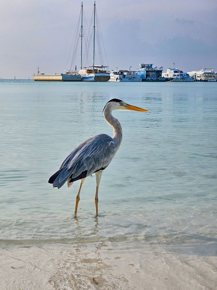 Photograph by Сергей Кесаев