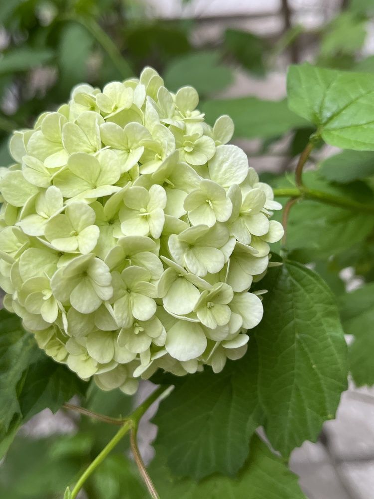 Photograph by Болдырева Ольга