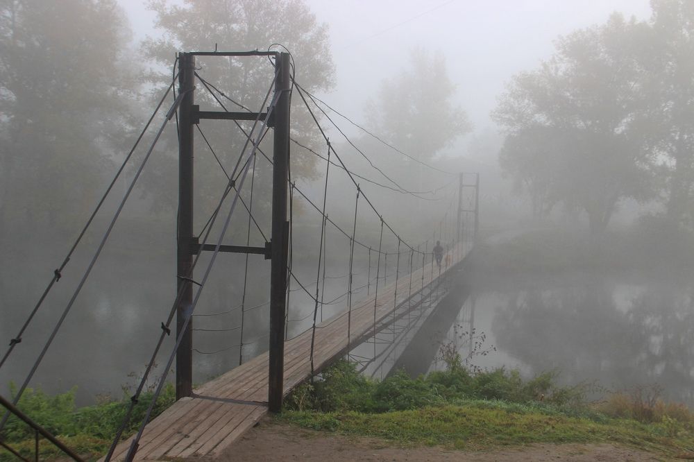 Photograph by Алина