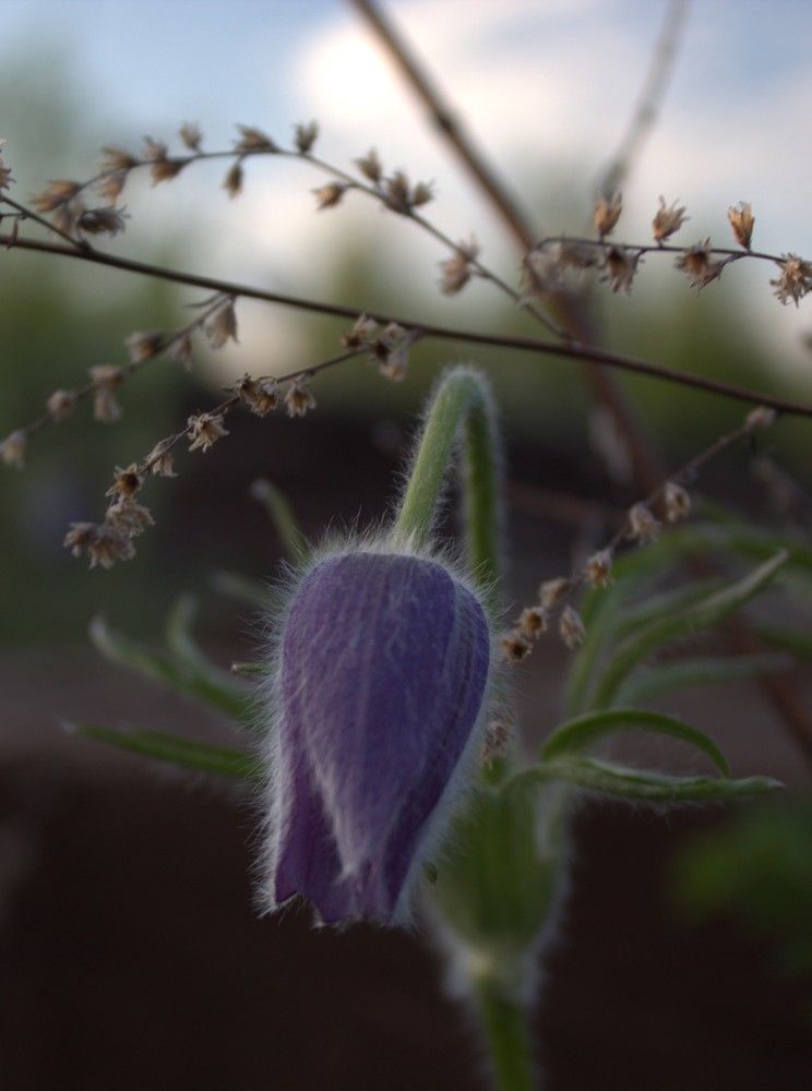 Photograph by Михаил Мархинин