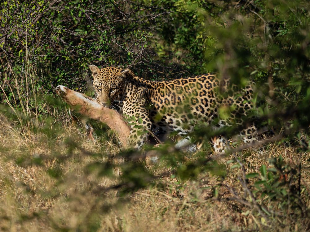 Photograph by Venkat Mangudi