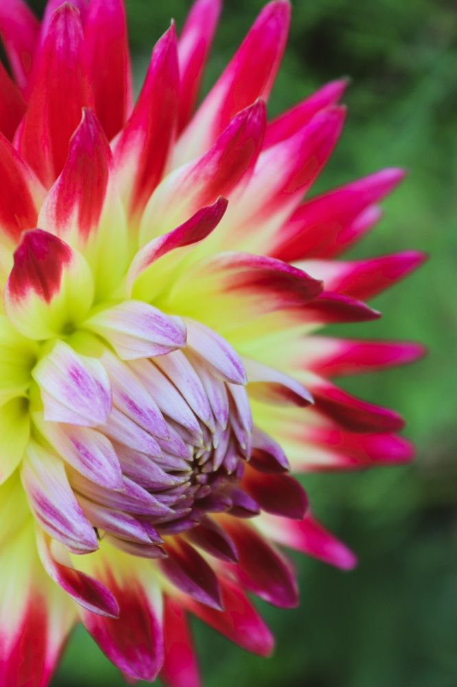 Фотография автора Victoria Vaigant