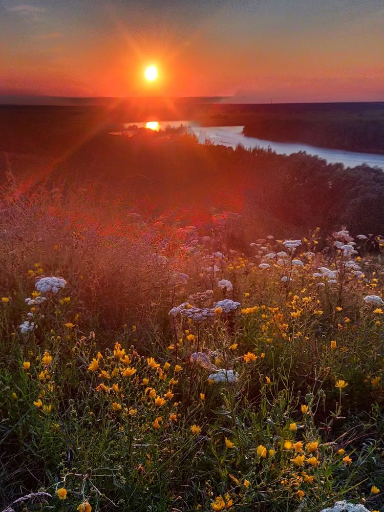 Photograph by Ольга Мартьянова