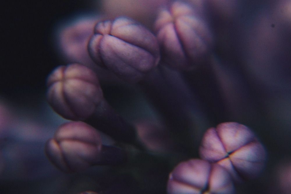 Photograph by Амина Балашова