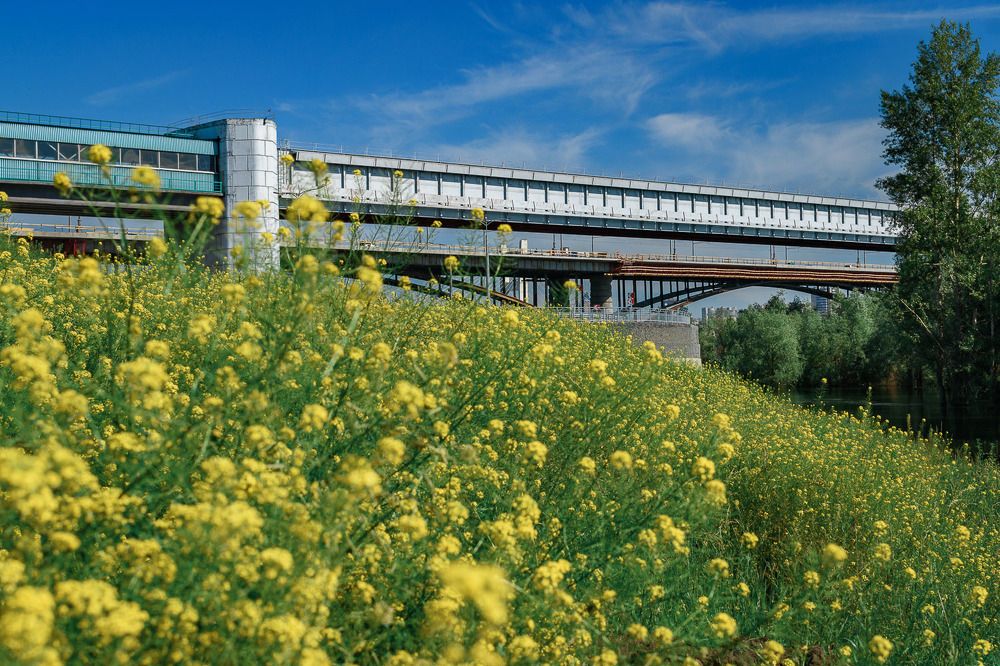 Два моста/Two bridges