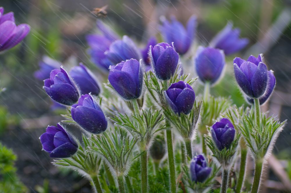 Photograph by Николай Захаров